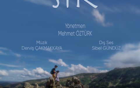 Sır